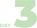 3 DAY
