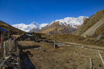 On the way to Tatopani